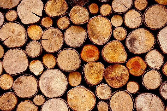 CBSE Class 5 Social Studies – Natural Resources