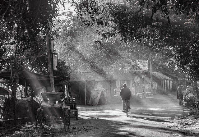 CBSE Class 5 Science – Light and Shadows