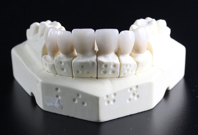 CBSE Class 4 Science – Teeth and Digestion