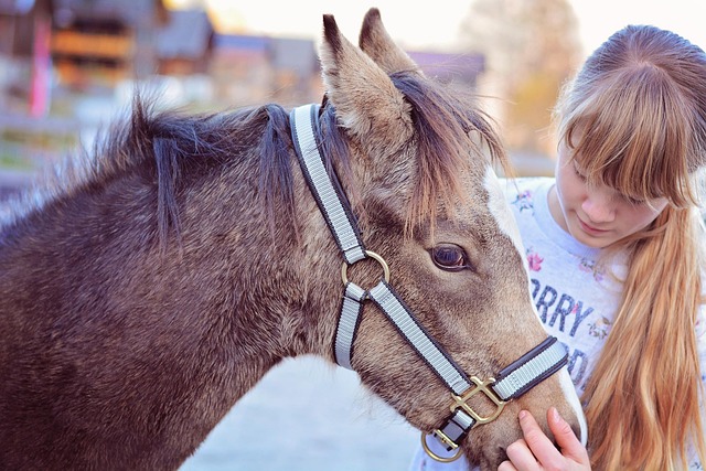 CBSE Class 4 English – I Had a Little Pony