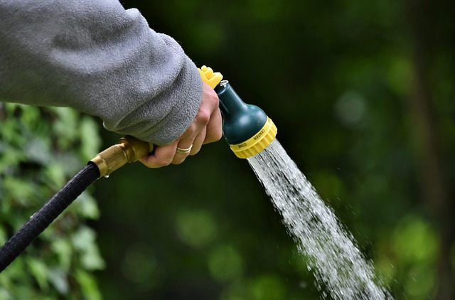 CBSE Class 4 English – A Watering Rhyme