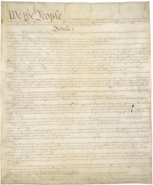 CBSE Class 8 Civics - The Indian Constitution