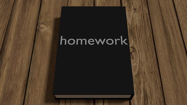 CBSE Class 6 English – Who Did Patrick’s Homework?