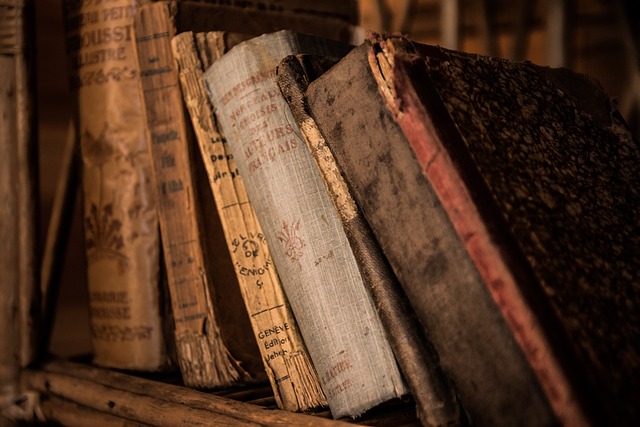 CBSE Class 6 Social Studies – What Books and Burials Tell Us