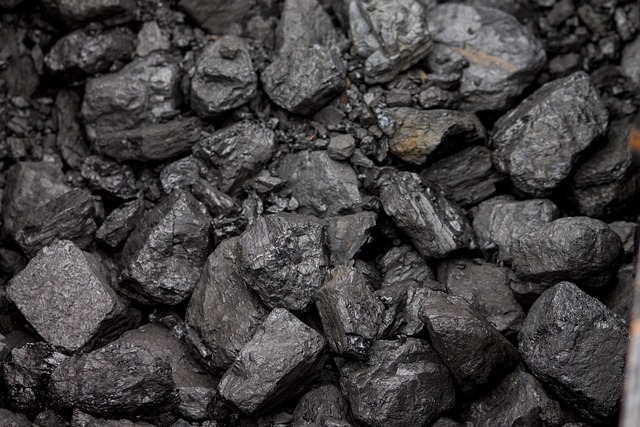 CBSE Class 8 Science – Coal and Petroleum