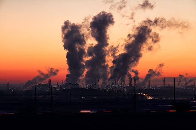 CBSE Class 8 Science – Pollution of Air and Water