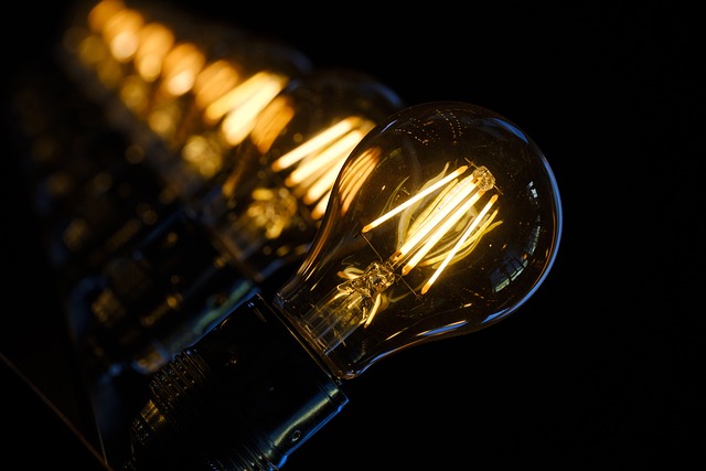 CBSE Class 8 Science – Light