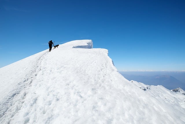 CBSE Class 8 English – The Summit Within