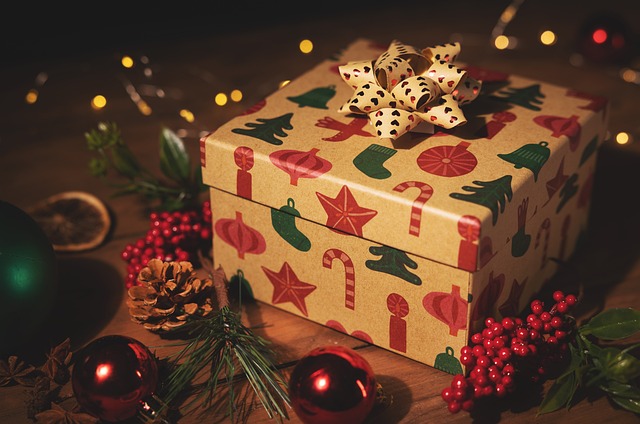 CBSE Class 8 English – The Best Christmas Present in the World