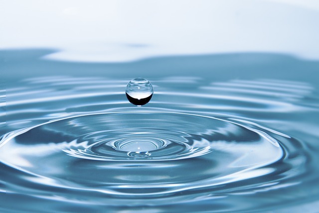 CBSE Class 3 Science – Water: A Precious Resource