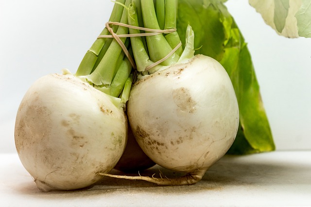 CBSE Class 3 English – The Enormous Turnip