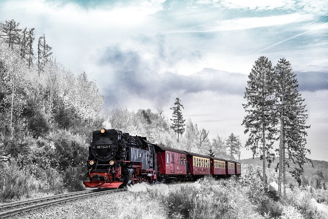 CBSE Class 3 English – Trains