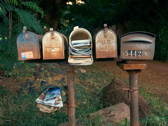 CBSE Class 3 English – What's in the Mailbox?