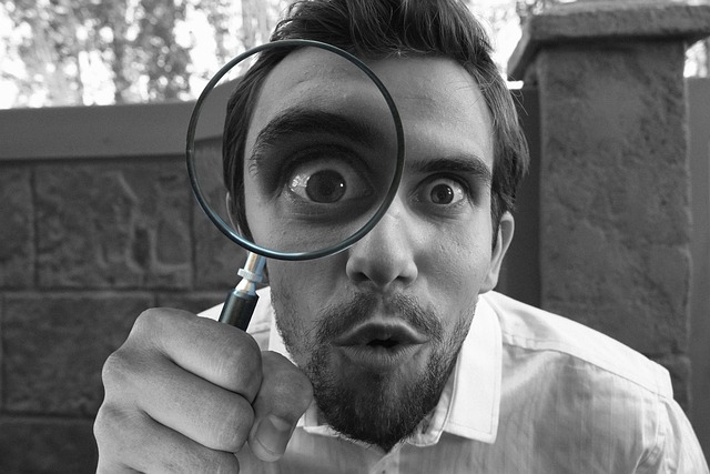 CBSE Class 7 English – Expert Detectives