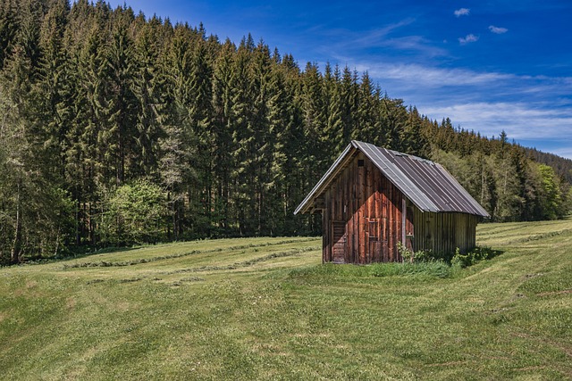 CBSE Class 7 English – Poetry: The Shed