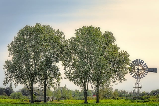 CBSE Class 7 English – The Ashes That Made Trees Bloom