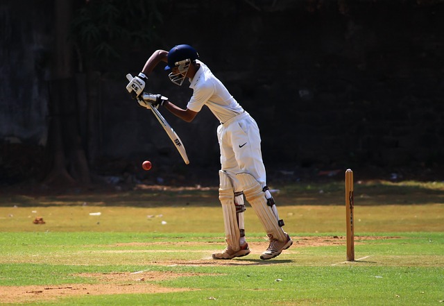CBSE Class 7 English – The Story of Cricket