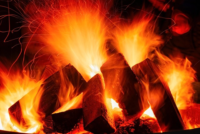 CBSE Class 7 English – Fire: Friend and Foe