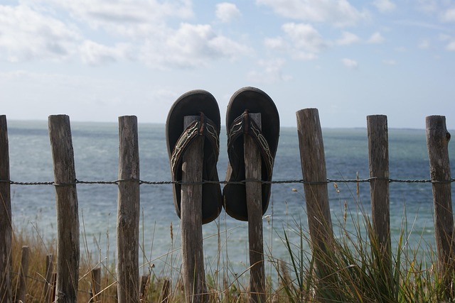 CBSE Class 7 English – A Gift of Chappals