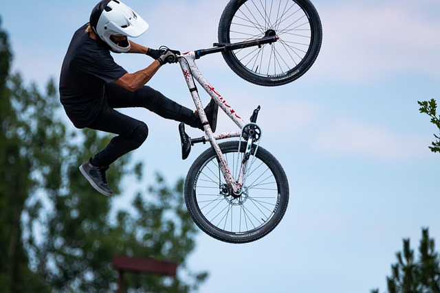 CBSE Class 7 English – A Bicycle in Good Repair
