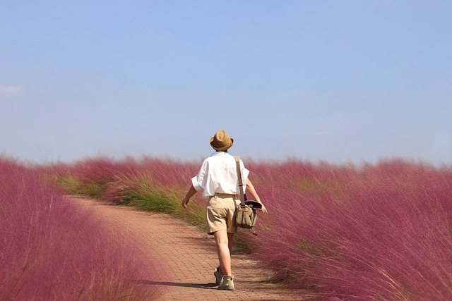 CBSE Class 9 English – Moments: The Adventure