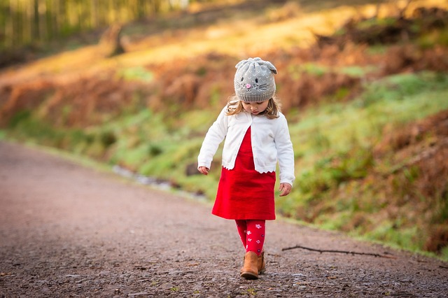 CBSE Class 9 English - Beehive: The Little Girl