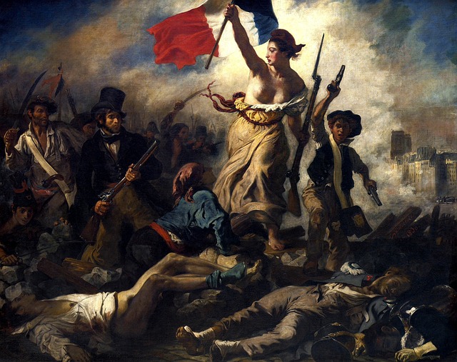 CBSE Class 9 Social Studies - The French Revolution