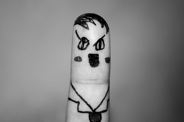 CBSE Class 9 Social Studies – Nazism and the Rise of Hitler