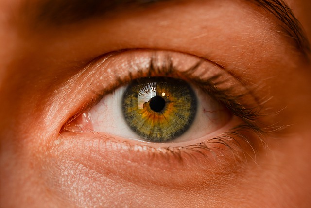 CBSE Class 10 Science – Human Eye and Colourful World