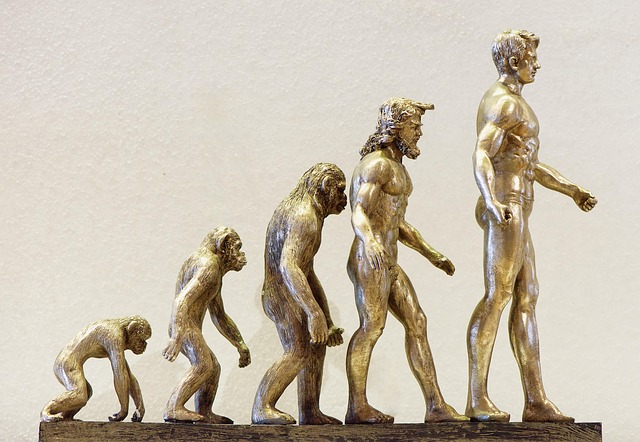 CBSE Class 10 Science – Heredity and Evolution