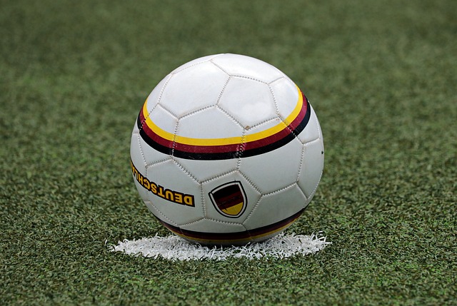 CBSE Class 10 English – The Ball Poem