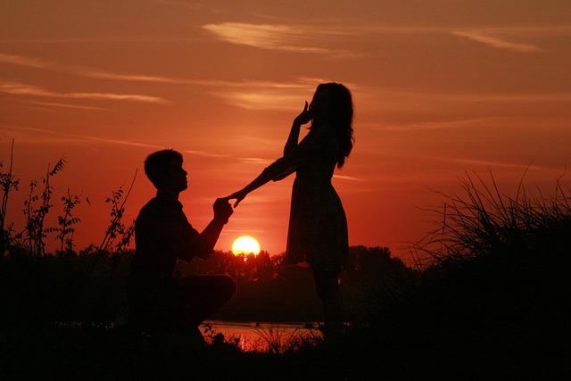 CBSE Class 10 English – The Proposal (Play)