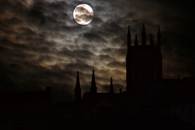 CBSE Class 10 English – The Midnight Visitor
