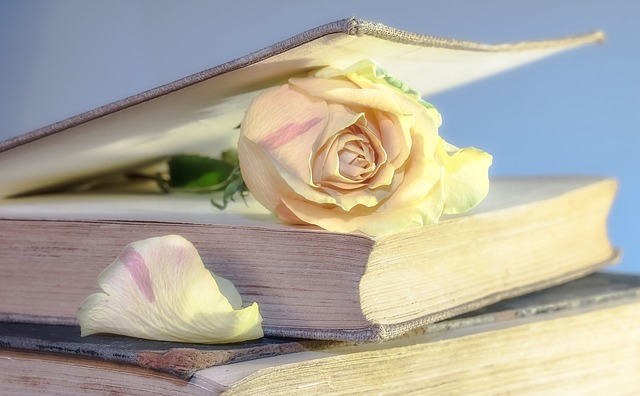 CBSE Class 10 English – The Book That Saved the Earth