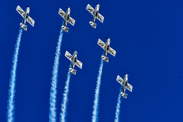 CBSE Class 10 English – Two Stories About Flying