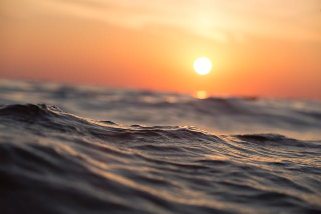CBSE Class 6 Social Studies – Oceans and Continents